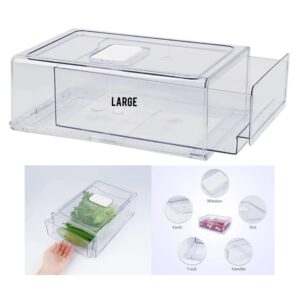 FRIDGE & PERSONAL THINGS  CONTAINER/ORGANIZER ( LARGE SIZE)