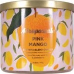 AEROPOSTALE PINK MANGO CANDLE 14.5 (119011)