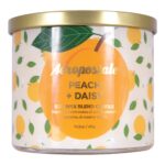 AEROPOSTALE  PEACH AND DAISY  CANDLE 14.5 (119012)