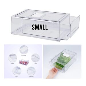 FRIDGE & PERSONAL THINGS  CONTAINER/ORGANIZER ( SMALL SIZE)