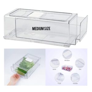 FRIDGE & PERSONAL THINGS  CONTAINER/ORGANIZER ( MEDIUM SIZE)